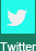 icon twitter